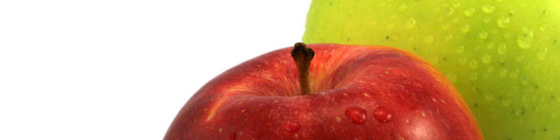 What the Bleep Do I Eat?